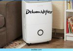 Best Basement Dehumidifier