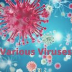 Various Viruses